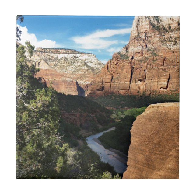 O rio Virgin em Zion Canyon (Frente)