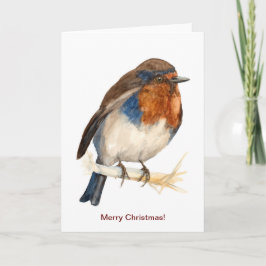 O Robin europeu parece o cartão de Natal esquerdo