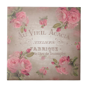 O rosa de rosas francês do vintage do chique