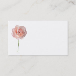 O rosa do rosa floresce o cartão de visita