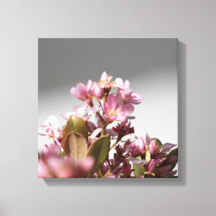 O rosa floresce canvas
