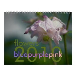 O rosa roxo azul floresce o calendário 2010