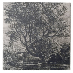 O salgueiro (gravura a água-forte)