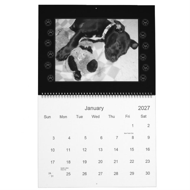 O salvamento persegue o calendário (Jan 2027)
