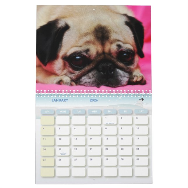 O salvamento persegue o calendário II (Jan 2026)