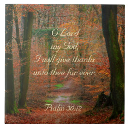 Ó Senhor, darei aos obrigados Salm 30, Caminho do 
