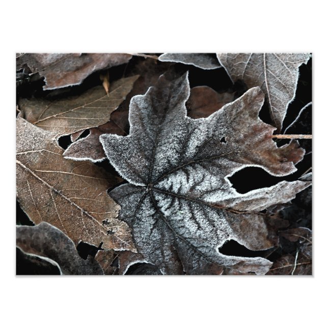 O seu alargamento de fotos personalizado de 16" x  (Frente)