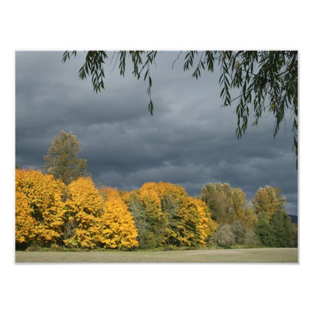 O seu alargamento de fotos personalizado de 16" x  (Frente)