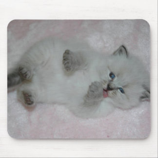 O SibKitten o mais bonito Mousepad - personalizado