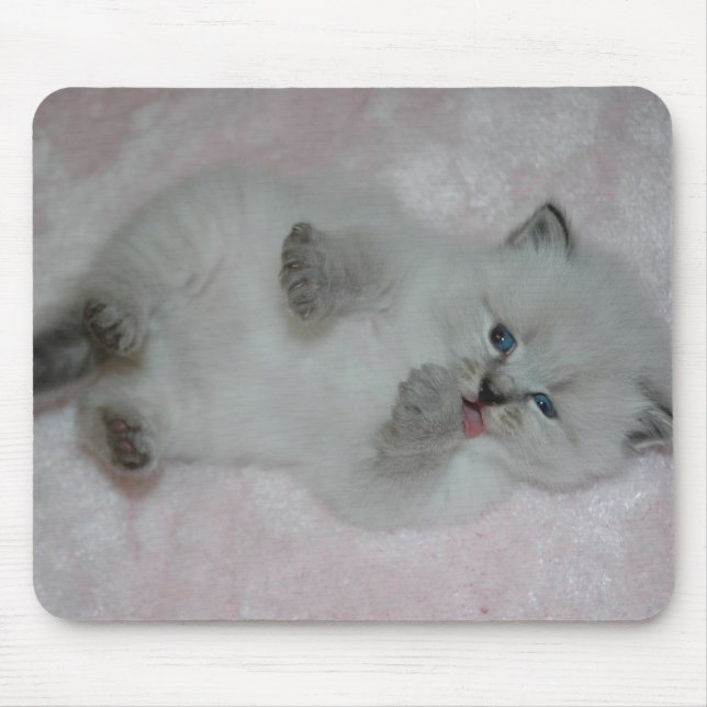 O SibKitten o mais bonito Mousepad - personalizado (Frente)