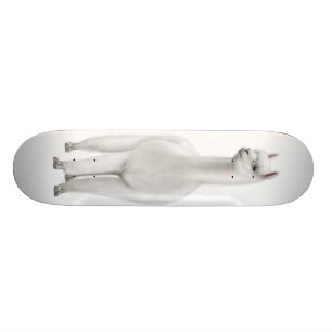 O skate branco da alpaca