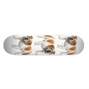 O skate do buldogue