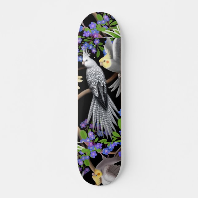 O skate do Cockatiel (Frente)