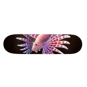 O skate do Lionfish