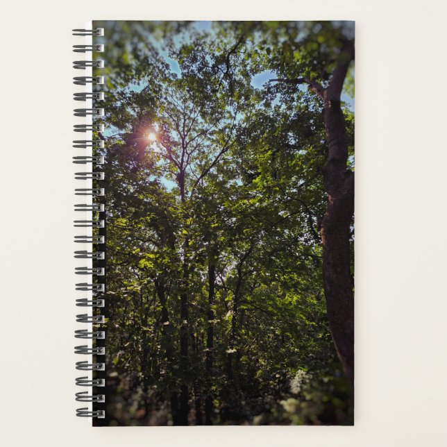 O Sol Brilha Através Do Planejador (Frente)