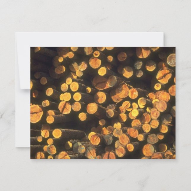 O sol da tarde registra o convite da aposentadoria (Frente)