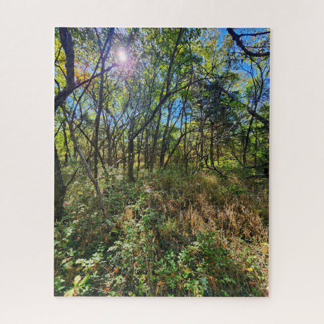 O Sol na Quebra-cabeça das Árvores (Vertical)