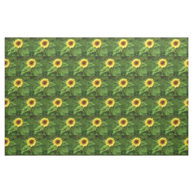 O tecido do GIRASSOL (Fat Quarter)