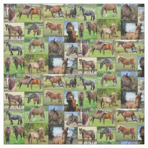 O tecido feito sob encomenda do amante do cavalo