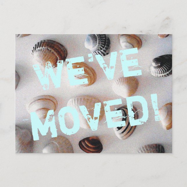 O tema da praia movendo cartão postal com conchas  (Frente)