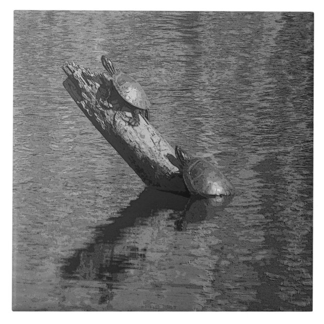 O tempo da tartaruga cronometra dois o azulejo da (Frente)