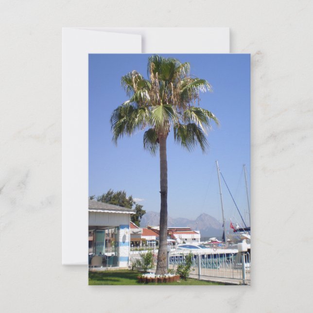 O território do iate clube Kemer com palma (Frente)