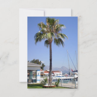 O território do iate clube Kemer com palma