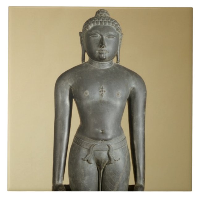 O Tirthankara Jain, Parsvanatha, Rajasthan, Prat (Frente)