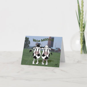 O touro das vacas mudou o anúncio do novo endereço