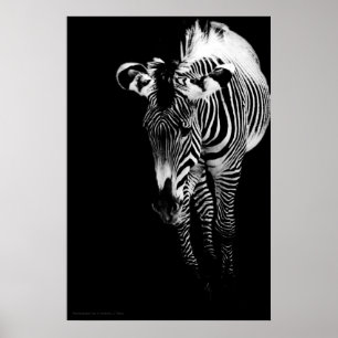 O um impressão imperial