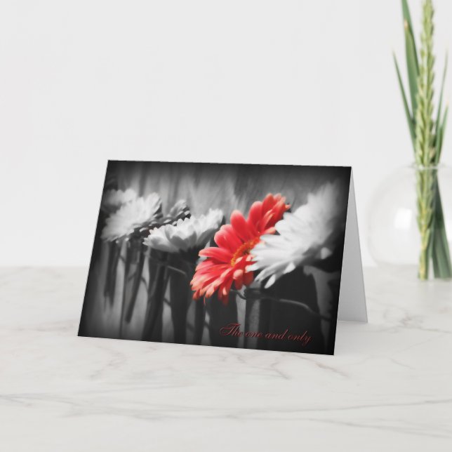 O único e único cartão de saudação (Frente)