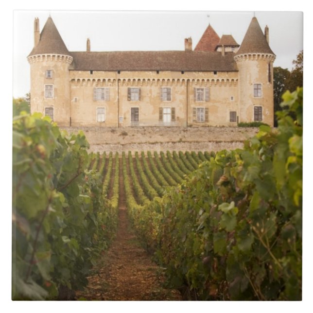 O velho castelo medieval Chateau de Rully na Cote (Frente)