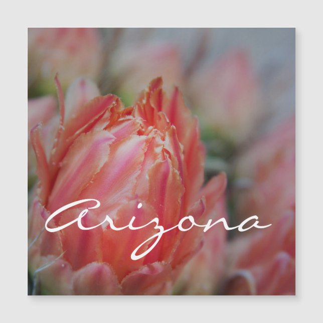 O verão floresce da Arizona (Frente)