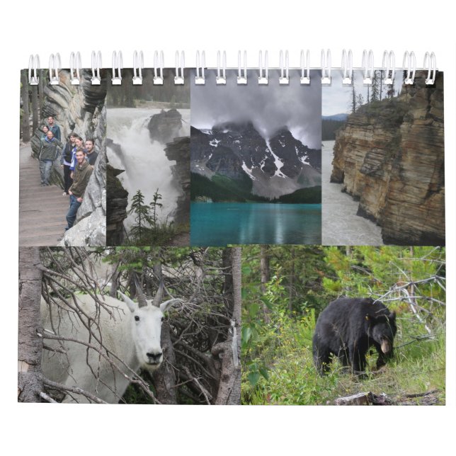 O verdadeiro calendário de Walton 2020 (Verso)