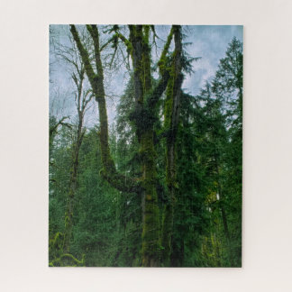 O Verde na Quebra-cabeça das Árvores