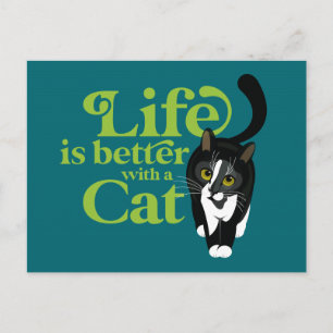 O vida é melhor com um gato Cartão postal
