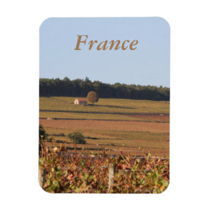 O vinhedo em France imprimiu em um ímã