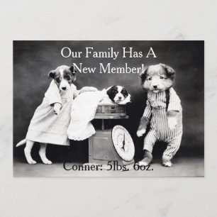 O vintage B&W persegue o anúncio novo do filhote