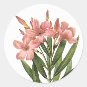 O vintage floresce as etiquetas 3 B