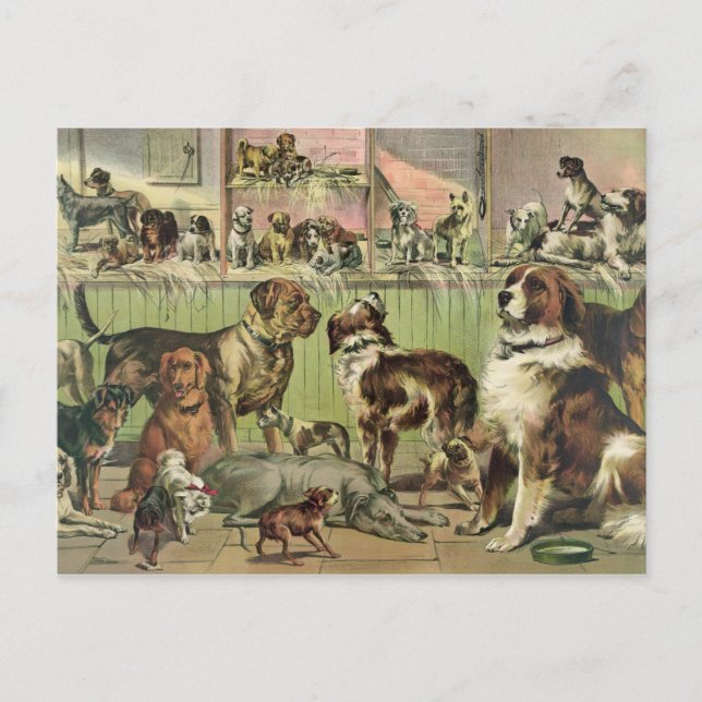 O vintage persegue o cartão (Frente)