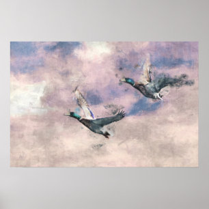 O vôo Ducks o poster
