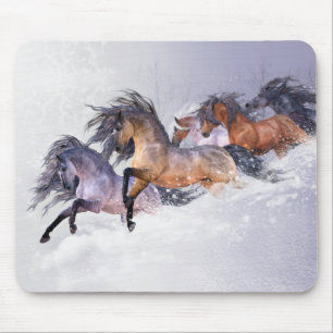 O vôo Mousepad do inverno