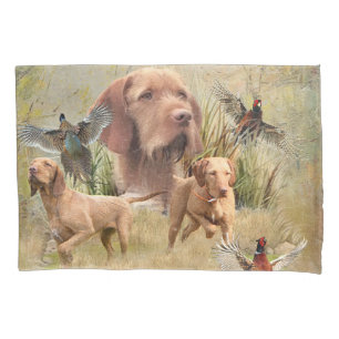 O Wirehaired Vizsla húngaro