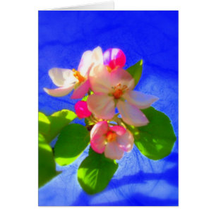 O zen floresce cartão