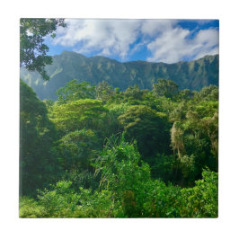 Oahu, Floresta Rainha do Havaí