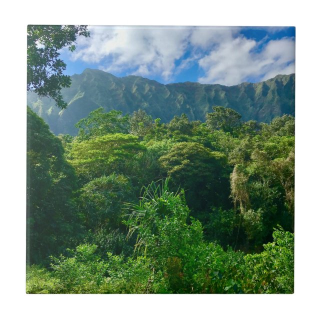 Oahu, Floresta Rainha do Havaí (Frente)