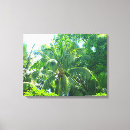 OAHU HAWAII #17 CANVAS