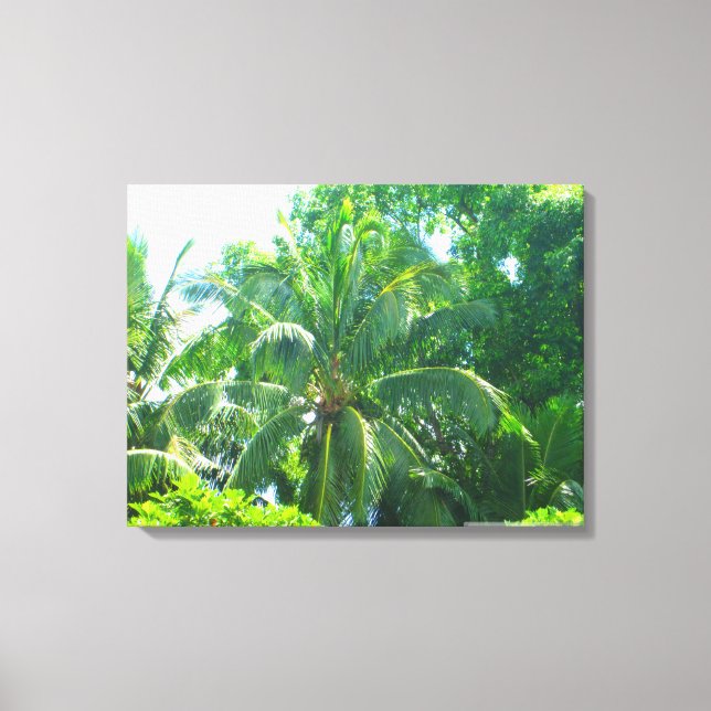 OAHU HAWAII #17 CANVAS (Frente)