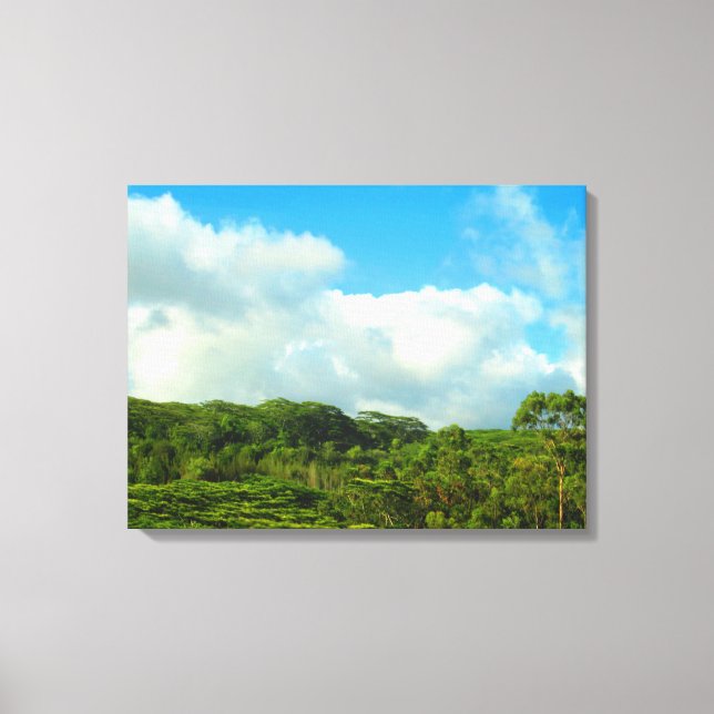 OAHU HAWAII #23 CANVAS (Frente)