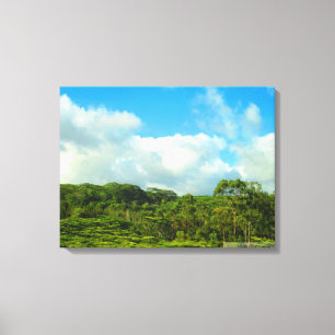 OAHU HAWAII #23 CANVAS